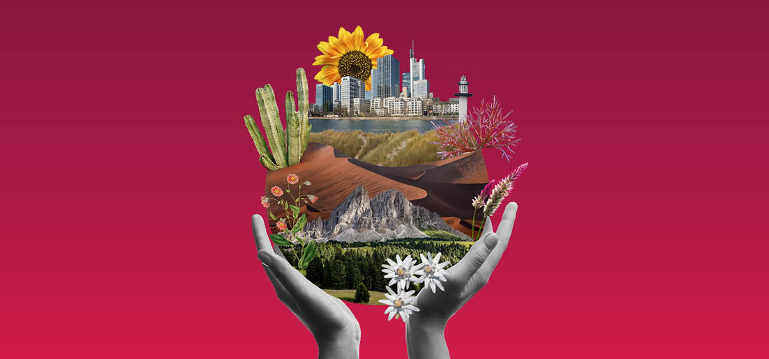 Belleza Global: Un enfoque resiliente al clima 