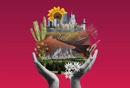 Belleza Global: Un enfoque resiliente al clima 