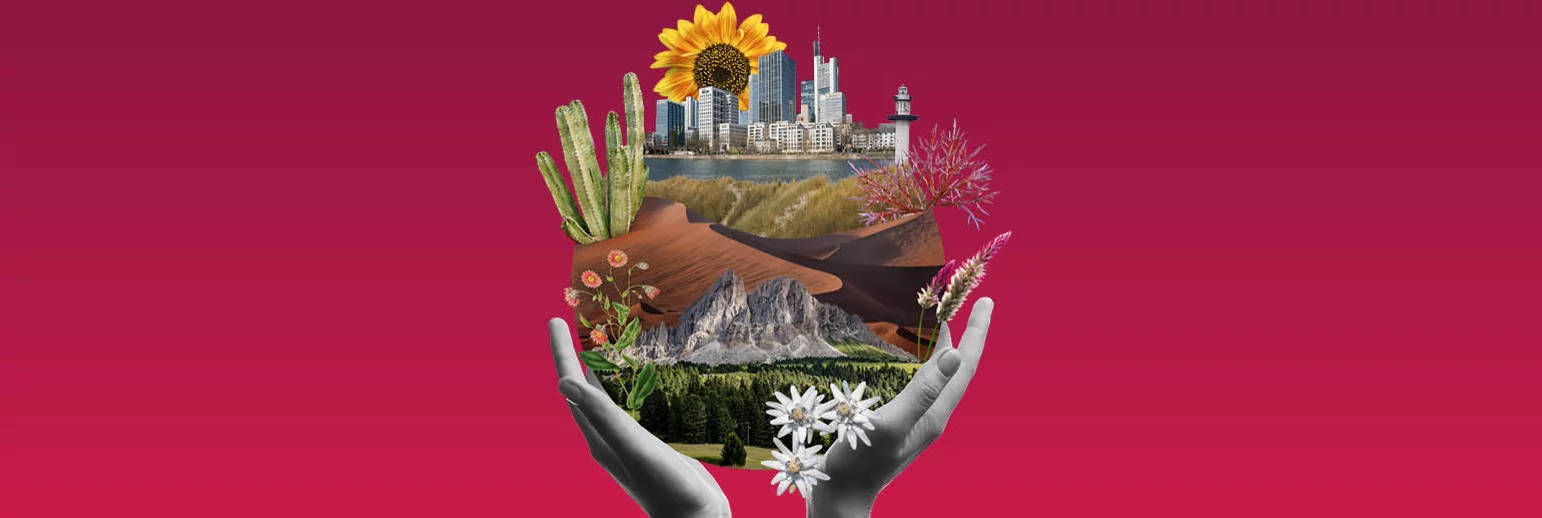 Belleza Global: Un enfoque resiliente al clima 