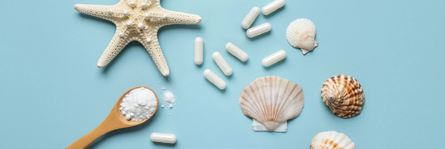 Colágenos SeaGarden: Ciencia, Pureza y Resultados Visibles 