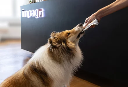 Salud humana y animal: oportunidades en un mercado en crecimiento 