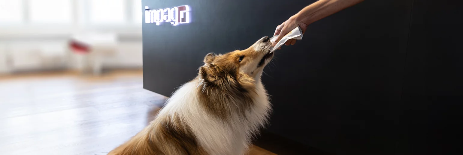 Salud humana y animal: oportunidades en un mercado en crecimiento 