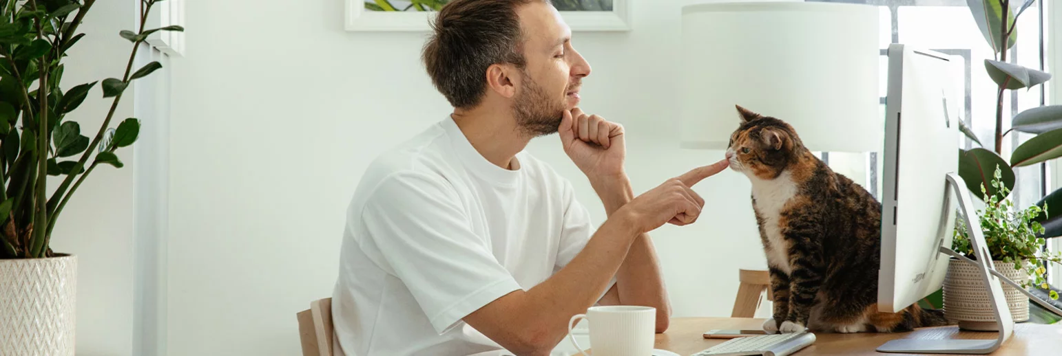  ¡Una mente en forma ! Apoyo a la salud mental y cognitiva mediante complementos Alimenticios. 